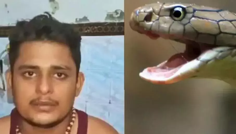 7 बार सर्पदंश के शिकार विकास दुबे के मामले में नया मोड़, पुरा मामला जान सब रह गए हैरान