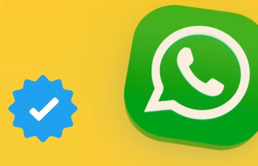 WhatsApp पर ब्लू टिक क्यों नहीं दिखता,जानिए इसके पीछे की वजहें…