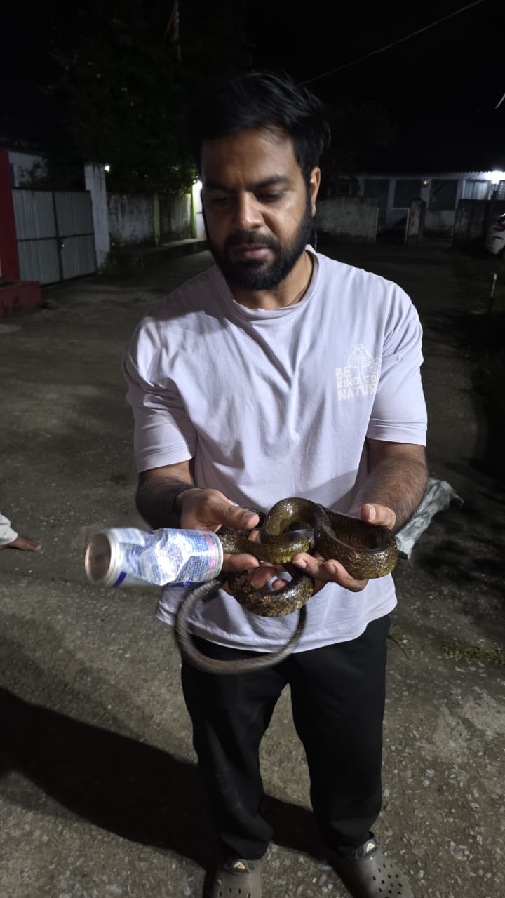 कोल्ड ड्रिंक कैन में फंसा सांप, रेस्क्यू ऑपरेशन से बची जान